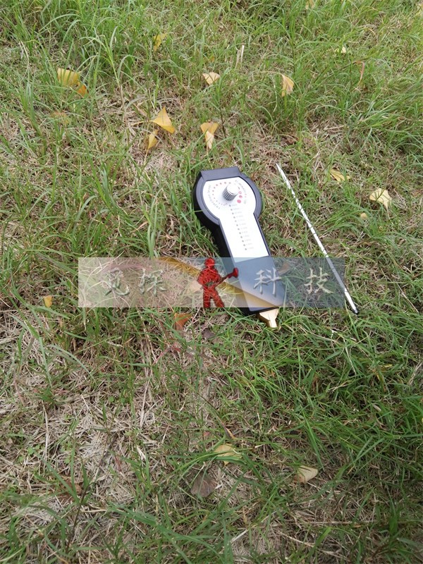 天狼星遙感金屬探測器抗干擾排礦化與假信號(hào)地下金屬探測器消磁器